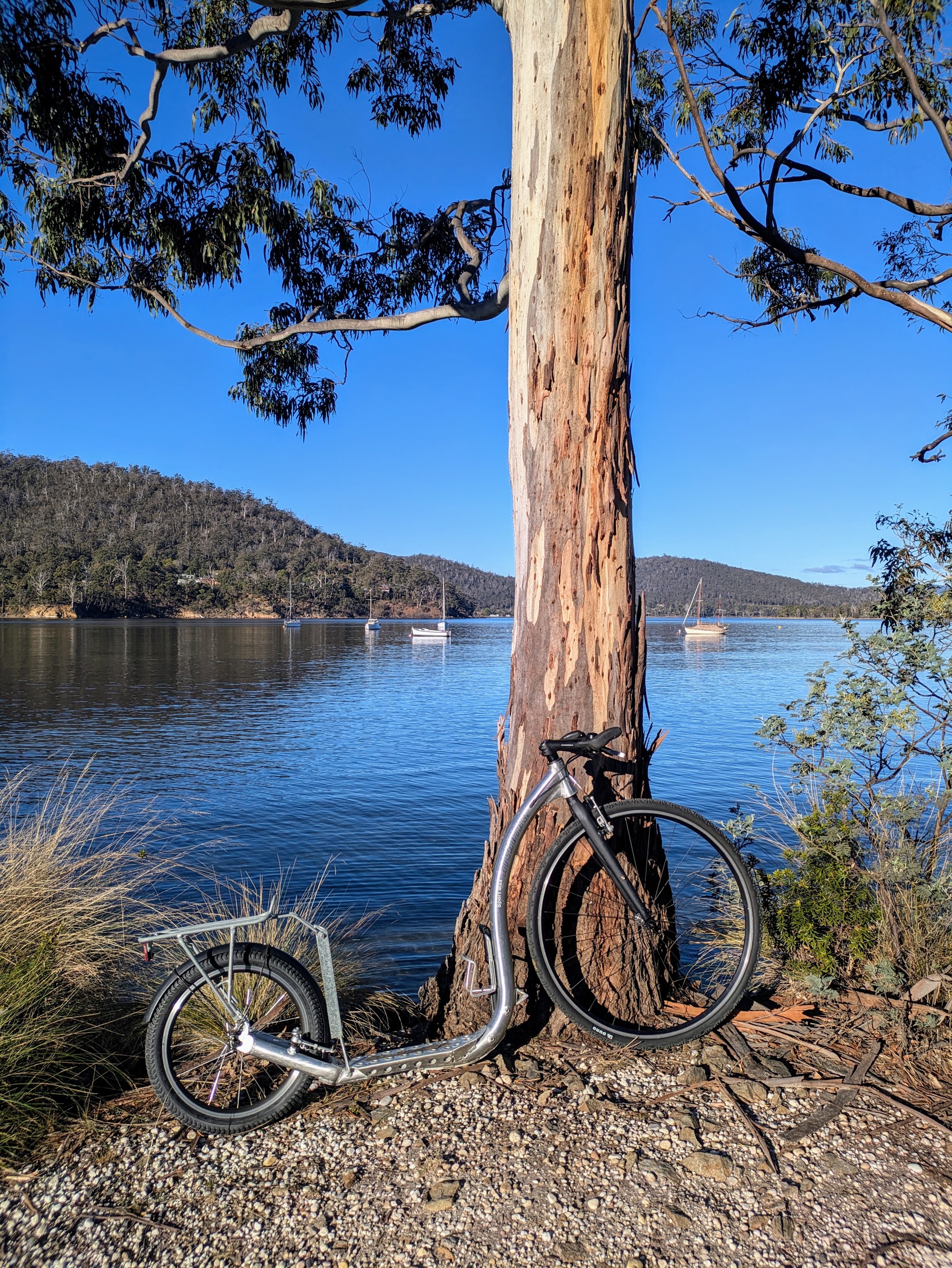 A bicycle leaning against a gum tree on the bank of the Huon River with yachts moored behind